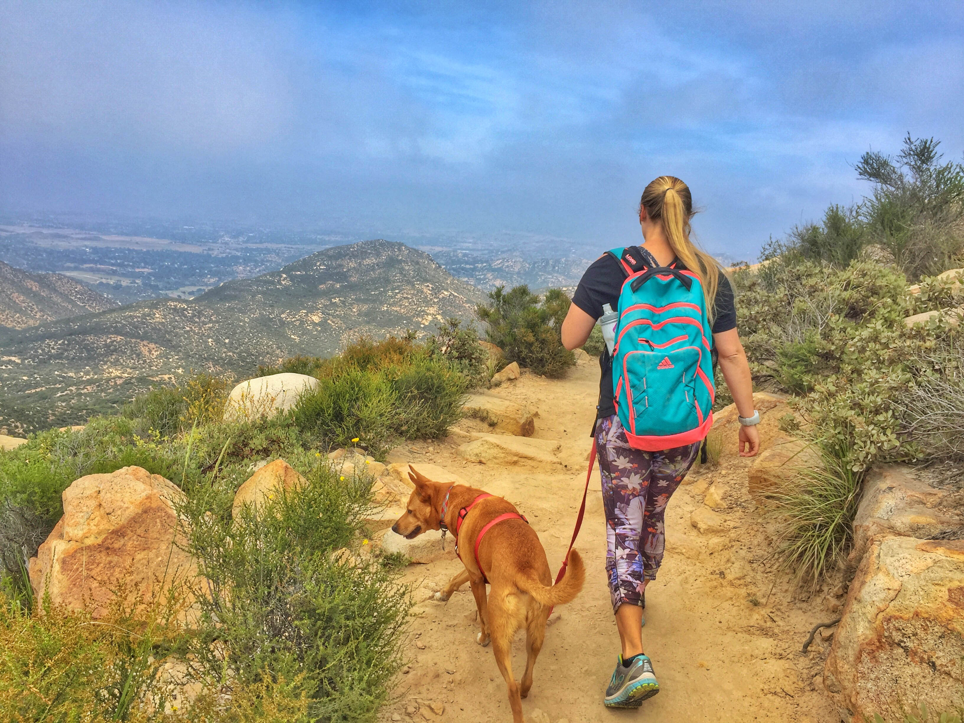My 7 Favorite Hikes in San Diego County • Foodie Loves Fitness