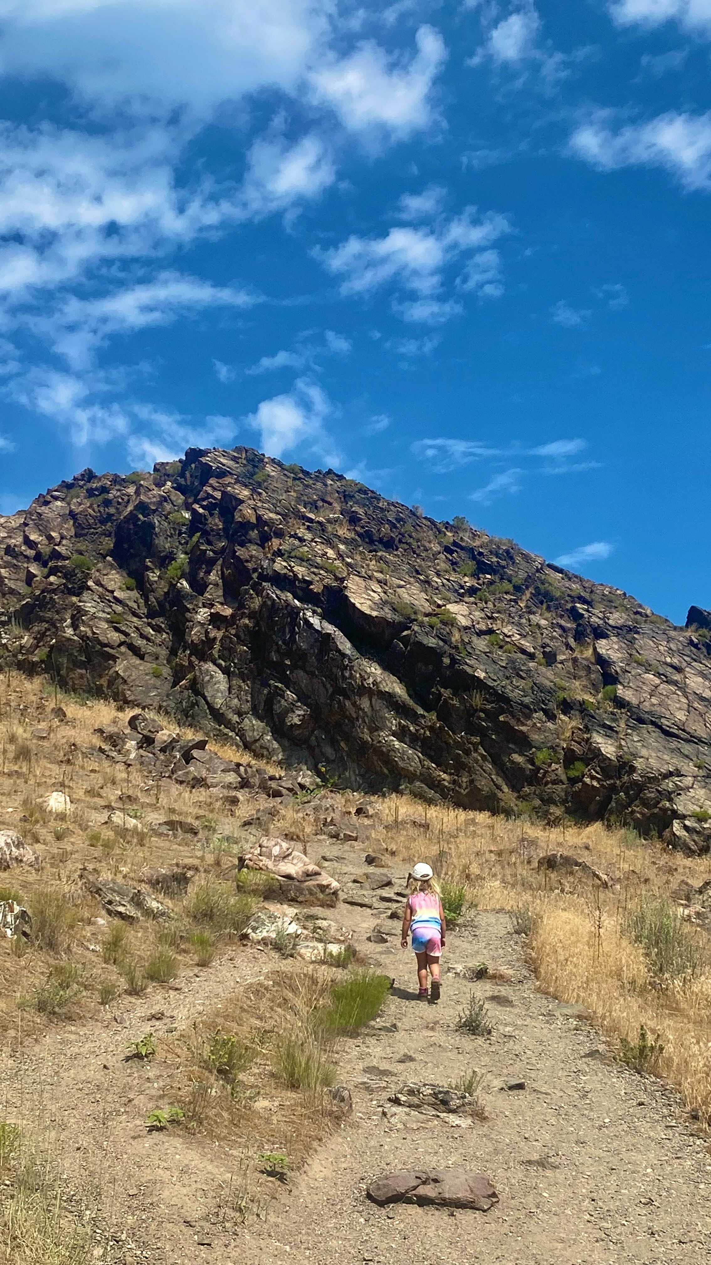 Views from Dooly Knob Trail 🌎 Antelope Island State Park, Syracuse, Utah 📍

2.6 mile out & back trail with 700+ ft elevation gain 👣

We spent July ’23 living in Salt Lake City & while it was HOT for hiking, one trail that we did get to experience was Dooly Knob. It provides awesome views of the Great Salt Lake & was the perfect length to hike with my little one! 

#hikingadventures #travelgram #familytravel #nomadliving #views #saltlakecity #utahtravel #hike #kidswhoexplore #outdoorliving #optoutside #roadtrip