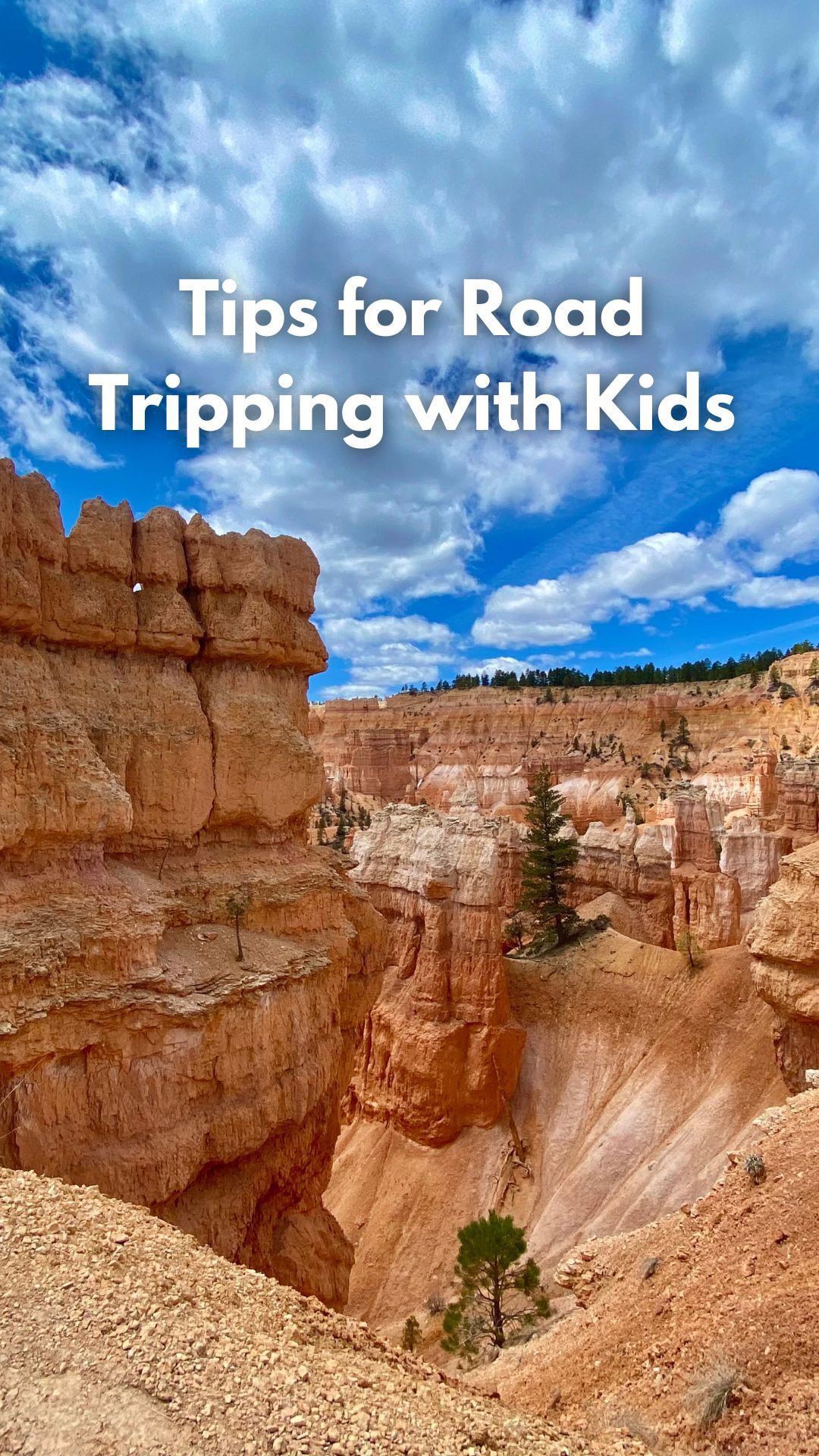 My family traveled full-time for over a year during my daughter’s entire 3rd year and have gone on countless long road trips. Here are tips I have for helping to make road trips with kids a success! 🚙🌎

1️⃣ BUILD IN FREQUENT STOPS. I always plot out our route and find parks that we can stop at to get my daughter’s energy out and let her have fun on the playground. 

2️⃣ BRING NEW ACTIVITIES OR TOYS FOR THE RIDE. It doesn’t need to be fancy, I often pop into the dollar store for car activities. My daughter loves stickers, so I always include stickers and a coloring book or board book that she can spend time sticking them onto. Sometimes I also hide away little toys that she likes for a few weeks leading up to a road trip - when I reintroduce it, it feels new again to her! 

3️⃣ BRING LOTS OF SNACKS! Too many snacks are always better than not enough when it comes to kids (and also, husbands that get hangry 😉). I try to bring a few things that take awhile to snack on, & I also bring something “special” in case she’s starting to lose it, like chocolate peanut butter cups. 

4️⃣ FOR PARENTS OF RECENTLY POTTY TRAINED KIDDOS & YOUNG ONES… BRING A PORTABLE POTTY! I can’t tell you how many times we’ve been in the middle of nowhere with no truck stop in sight and needs to pull over on the side of the road so that my daughter can go potty. 

5️⃣ KNOW YOUR LIMITS. We never drive more than 6 hours in a day and we stop every couple of hours because that is our limit with a very active little one! 

When’s your next road trip?!

#roadtrip #kidswhotravel #familytravel #traveltips #roadtriptips #travelgram #mytinyatlas #nomadliving #momsofinstagram