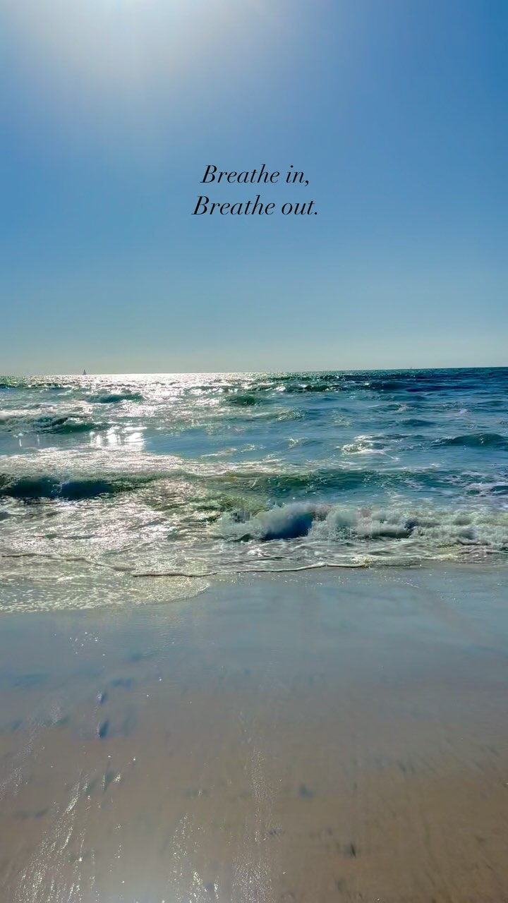 The mindset that I’m trying to have this week // BREATHE🙏🏼

#mindfulness #waves #pacificocean #sandiego #californialiving #breathe #wellnesswarrior #healthylifestyle #electionweek